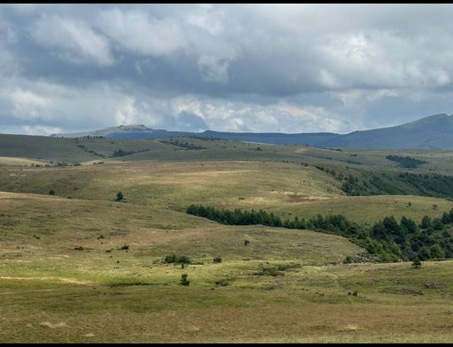 1,730HA FARM FOR SALE IN DARGLE